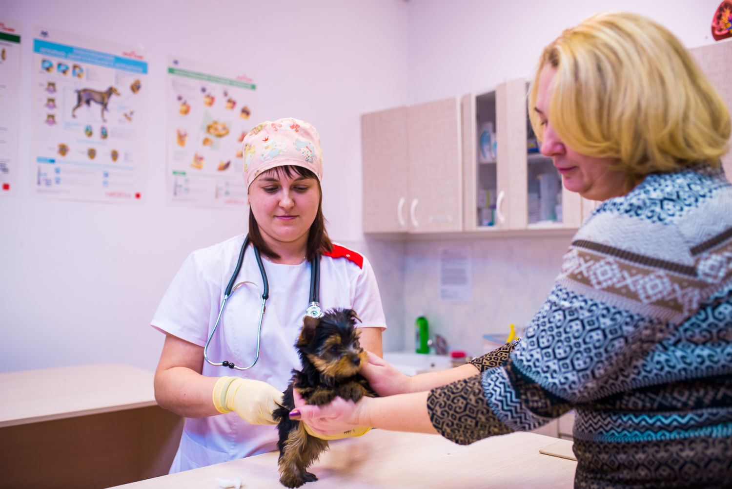 Удаленная консультация Удаленная консультация